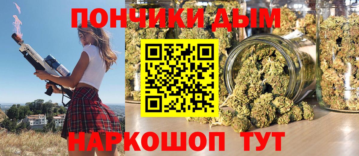 Бошки марихуана гибрид Россия